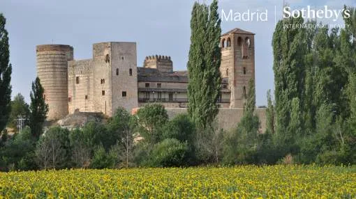 Historic castle in Segovia